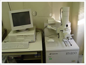 反応材料表面観察用の走査型電子顕微鏡置